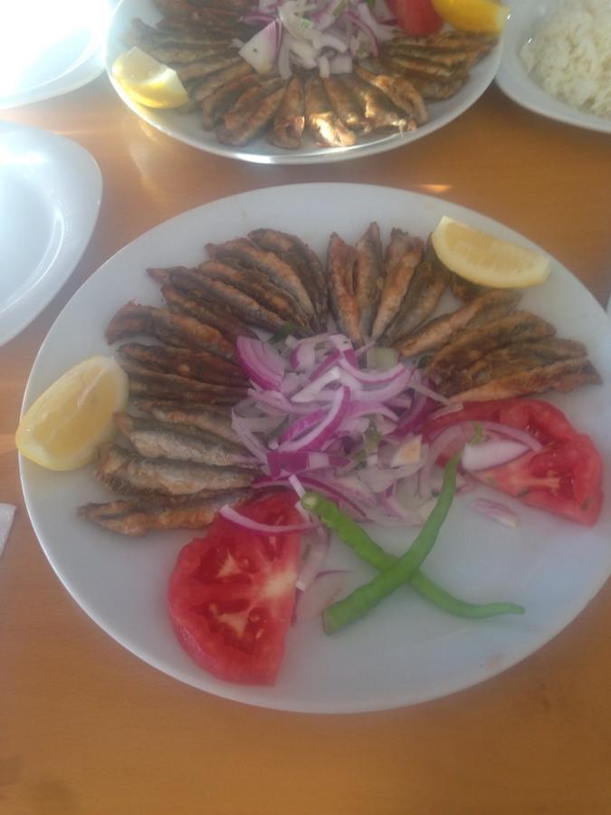 Omer Deniz Motel Türkeli Dış mekan fotoğraf